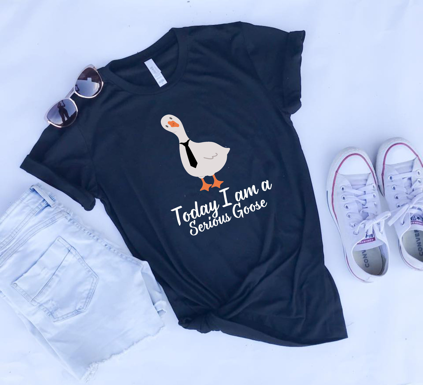 Today I'm a Serious Goose